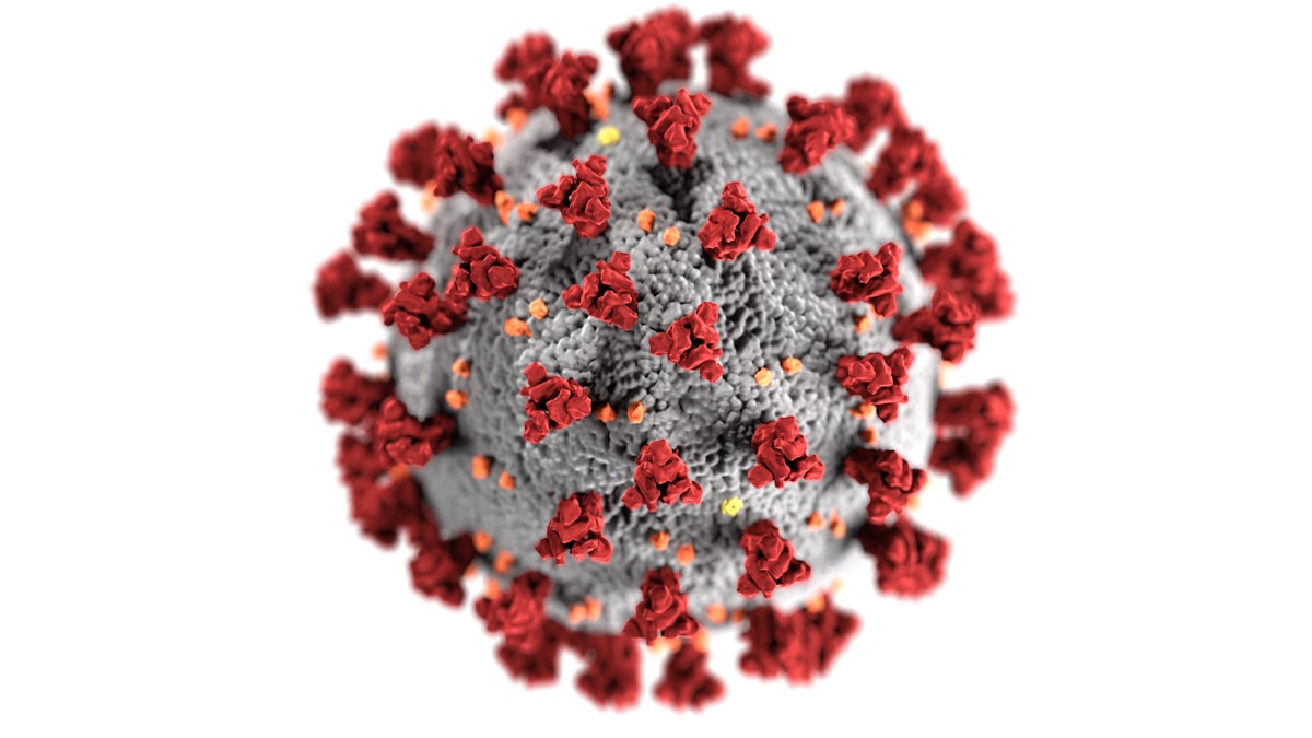 La rougeole fait son retour en France : pourquoi le vaccin reste le meilleur rempart